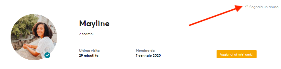 Report_an_abuse_profile_IT.PNG